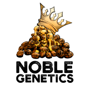 Dukes and Duchesses Tier