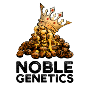 Kings and Queens Tier